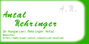 antal mehringer business card